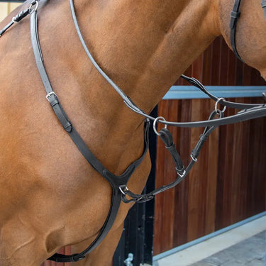 Buy Shires Lusso Breastplate| Online for Equine