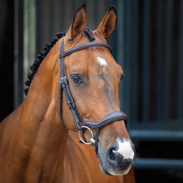 Buy Shires Lusso Ergonomic Flash Bridle| Online for Equine