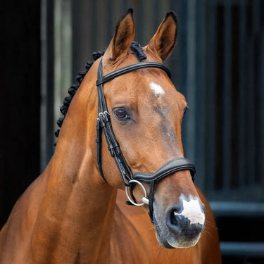 Buy Shires Lusso Ergonomic Flash Bridle| Online for Equine