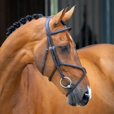 Buy Shires Lusso Grackle Bridle| Online for Equine