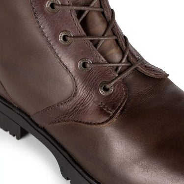 Buy Shires Moretta Teramo Lace Boots| Online for Equine