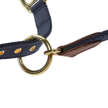 Shires Navy ARMA Porto Headcollar| Online For Equine