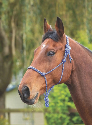 Buy the Shires Navy/White Rope Control Headcollar | Online for Equine
