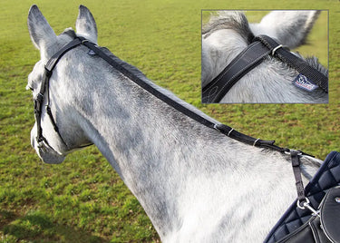 Buy Shires Nylon Daisy Rein-Pony / Cob-Black| Online for Equine