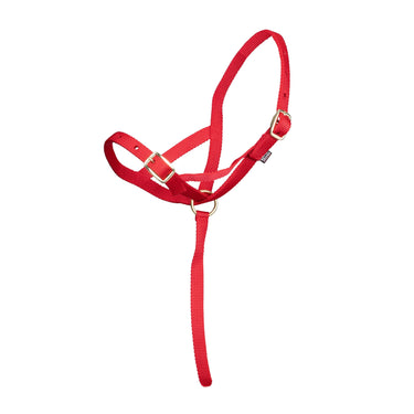Shires Nylon Foal Slip| Online For Equine