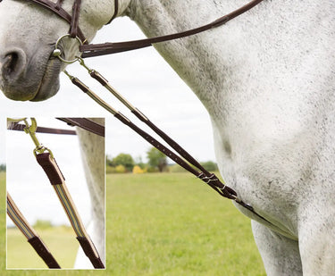 Buy Shires Nylon Harbridge Training Aid| Online for Equine