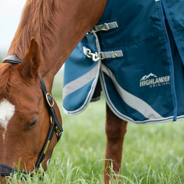 Shires Ocean Highlander Original 50g Combo Turnout Rug| Online For Equine