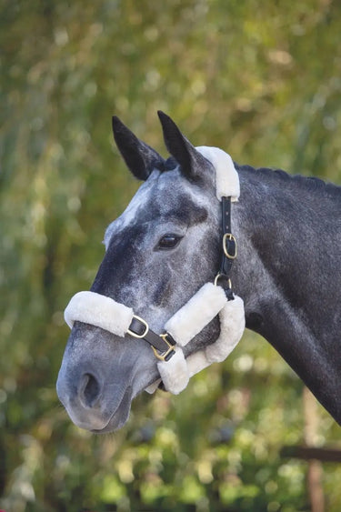 Buy Shires Performance SupaFleece Halter Fleece Pieces| Online for Equine