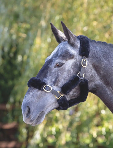 Buy Shires Performance SupaFleece Halter Fleece Pieces| Online for Equine