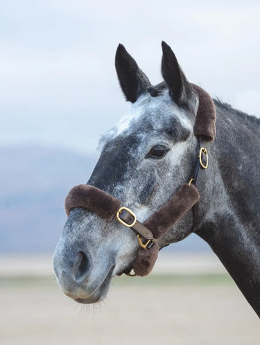 Buy Shires Performance SupaFleece Halter Fleece Pieces| Online for Equine