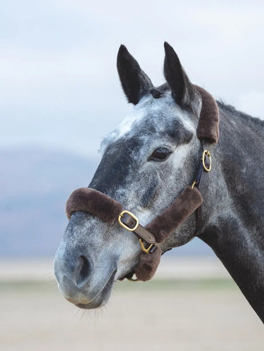 Buy Shires Performance SupaFleece Halter Fleece Pieces| Online for Equine