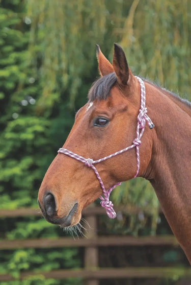 Buy the Shires Pink/Black Rope Control Headcollar | Online for Equine