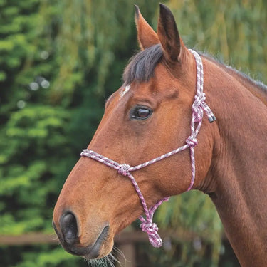 Shires Pink/Black Rope Control Headcollar| Online For Equine