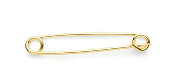 Buy Shires Plain Gold Plated Stock Pin| Online for Equine