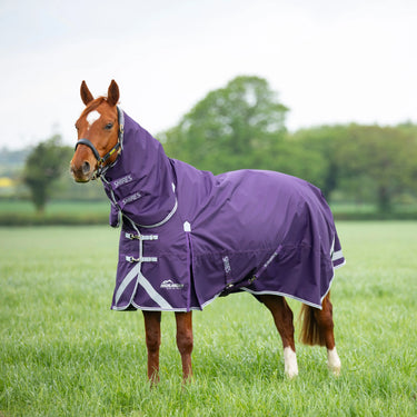 Shires Plum Highlander Original 100g Turnout Combo Rug| Online For Equine