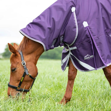 Shires Plum Highlander Original 100g Turnout Combo Rug| Online For Equine