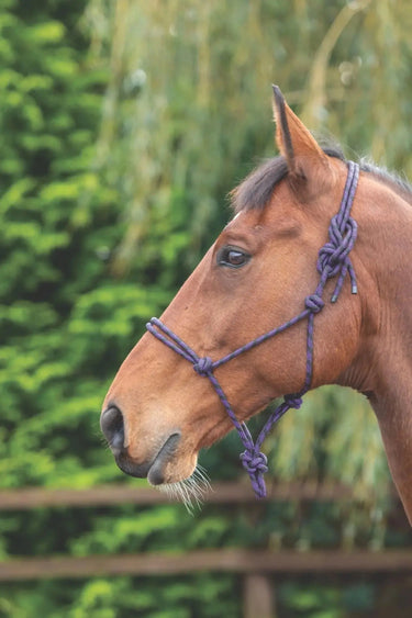 Buy the Shires Purple/Black Rope Control Headcollar | Online for Equine
