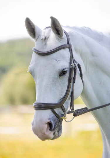 Buy Shires RAPIDA Ergonomic Curved Flash Bridle| Online for Equine