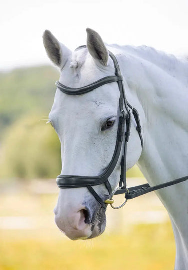 Buy Shires RAPIDA Ergonomic Curved Flash Bridle| Online for Equine