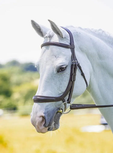 Buy Shires RAPIDA Ergononic Cavesson Bridle| Online for Equine