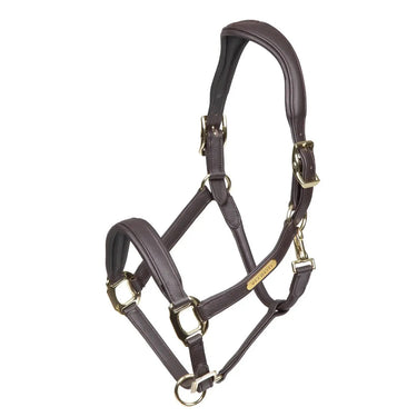 Buy Shires Rapida Comfort Leather Headcollar| Online for Equine