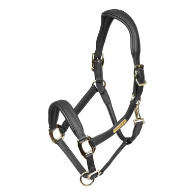 Buy Shires Rapida Comfort Leather Headcollar| Online for Equine