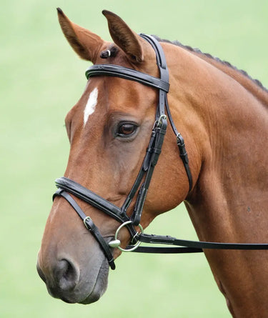 Buy Shires Salisbury Bodenham Flash Bridle| Online for Equine