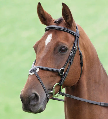 Buy Shires Salisbury Brackley Grackle Bridle| Online for Equine