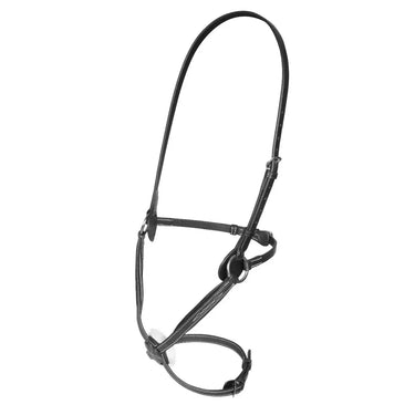 Buy Shires Salisbury Brackley Noseband| Online for Equine