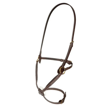 Buy Shires Salisbury Brackley Noseband| Online for Equine