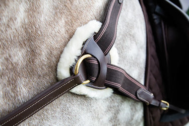 Buy Shires Salisbury Five Point Breastplate| Online for Equine