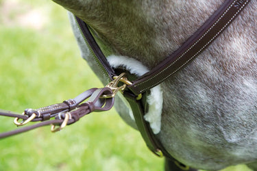 Buy Shires Salisbury Five Point Breastplate| Online for Equine