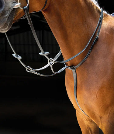Buy Shires Salisbury Running Martingale| Online for Equine