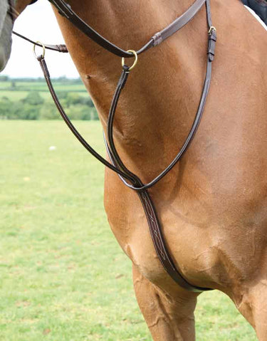 Buy Shires Salisbury Running Martingale| Online for Equine