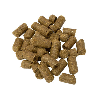 Shires Single Shires Apple Treats| Online For Equine