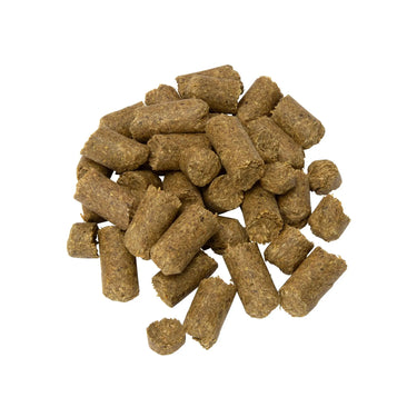 Shires Single Shires Carrot Treats| Online For Equine
