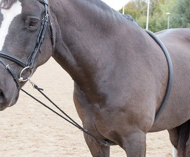 Buy Shires Soft Lunging Aid-One Size-Black| Online for Equine