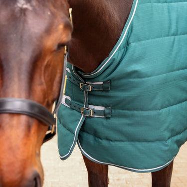 Shires Tempest Emerald 200g Stable Rug| Online For Equine