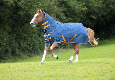 Buy Shires Tempest Lite Teal Detachable Neck Turnout Rug| Online for Equine