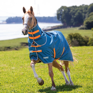 Shires Tempest Lite Teal Detachable Neck Turnout Rug| Online For Equine