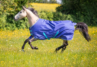 Buy Shires Tempest Original 100g Navy Standard Neck Turnout Rug| Online for Equine