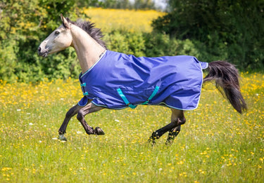 Buy Shires Tempest Original 100g Navy Standard Neck Turnout Rug| Online for Equine