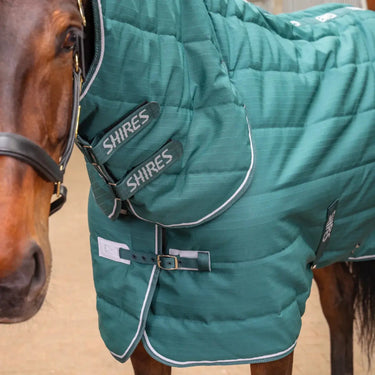 Buy Shires Tempest Original 200g Emerald Combo Stable Rug| Online for Equine