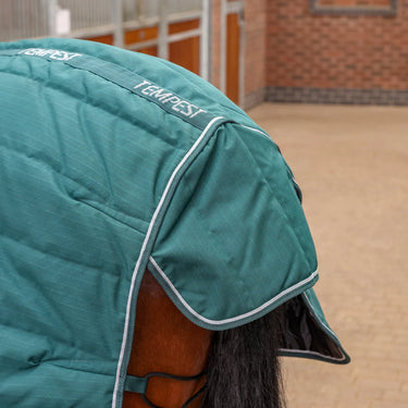 Buy Shires Tempest Original 200g Emerald Combo Stable Rug| Online for Equine