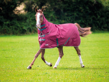Buy Shires Tempest Original 200g Maroon Combo Turnout Rug| Online for Equine