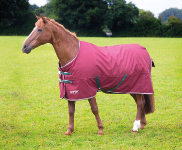 Buy Shires Tempest Original 200g Maroon Turnout Rug| Online for Equine