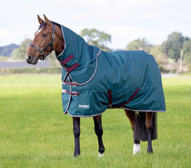 Buy Shires Tempest Original 200g Turnout Rug & Neck Set| Online for Equine