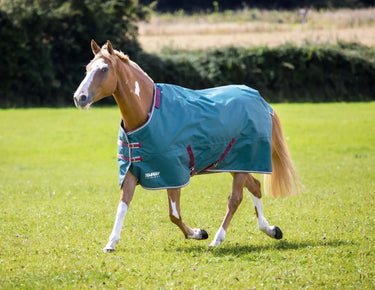 Buy Shires Tempest Original 200g Turnout Rug & Neck Set| Online for Equine