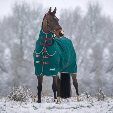 Shires Tempest Original 200g Turnout Rug & Neck Set| Online For Equine