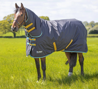 Buy Shires Tempest Original 300g Black Combo Turnout Rug| Online for Equine